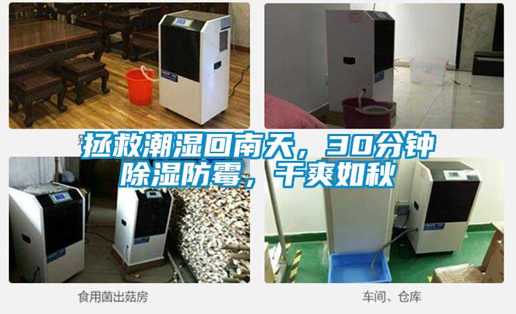 拯救潮湿回南天，30分钟除湿防霉，干爽如秋