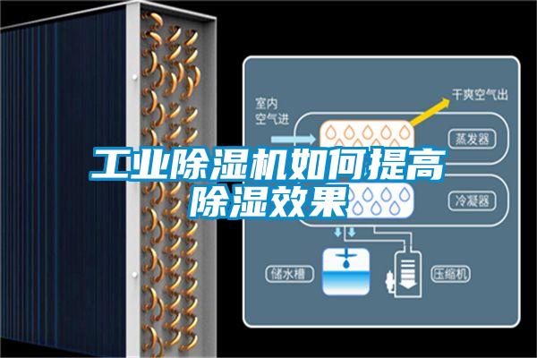 工业草莓视频APP在线观看如何提高除湿效果