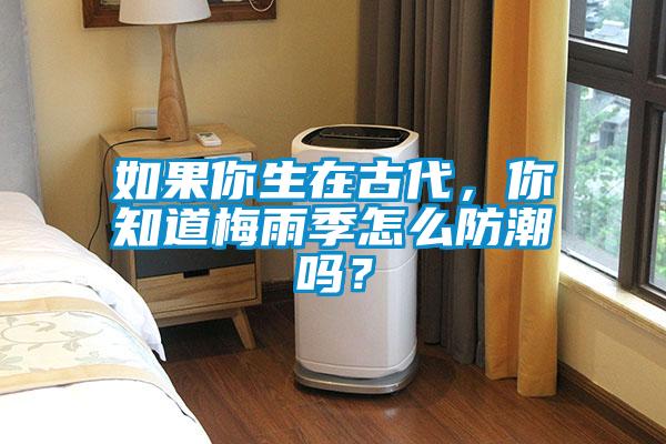 如果你生在古代，你知道梅雨季怎么防潮吗？