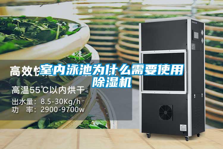 室内泳池为什么需要使用草莓视频APP在线观看