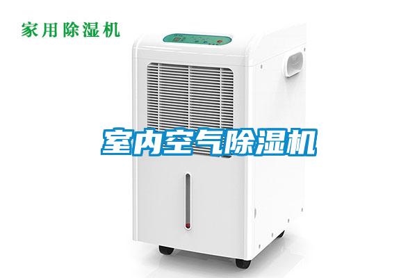 室内空气草莓视频APP在线观看