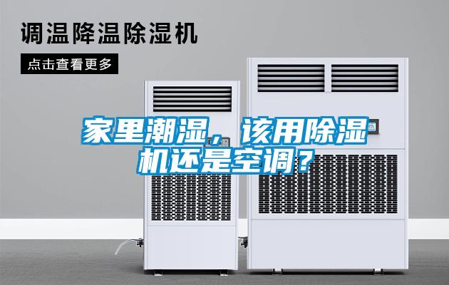 家里潮湿，该用草莓视频APP在线观看还是空调？