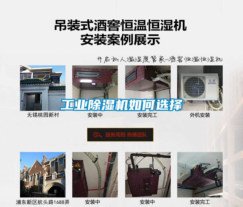 工业草莓视频APP在线观看如何选择