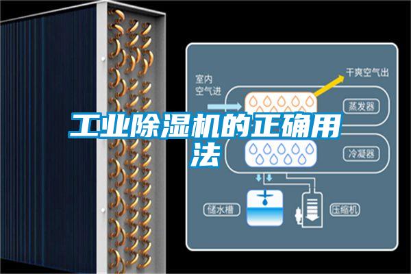 工业草莓视频APP在线观看的正确用法