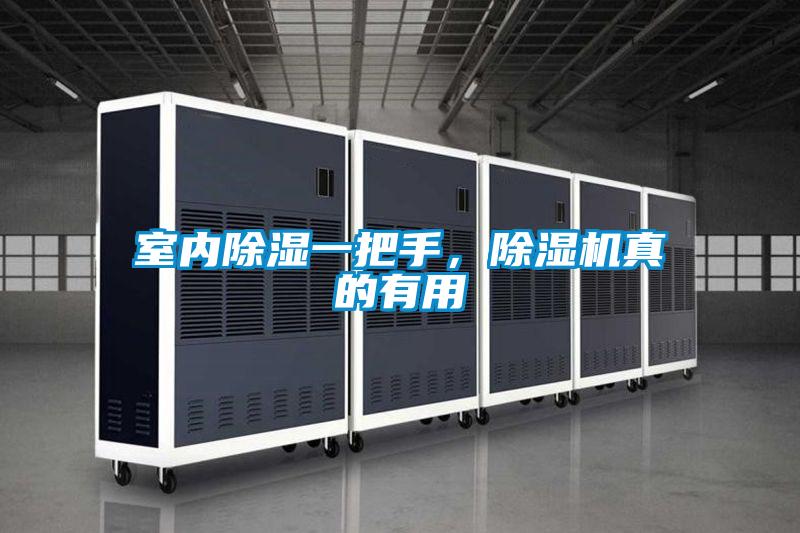 室内除湿一把手，草莓视频APP在线观看真的有用