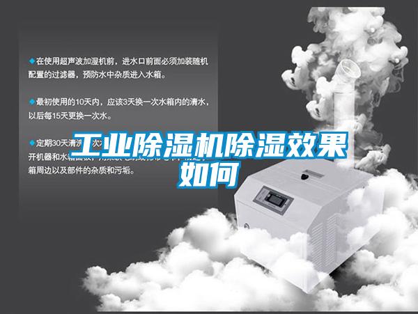 工业草莓视频APP在线观看除湿效果如何