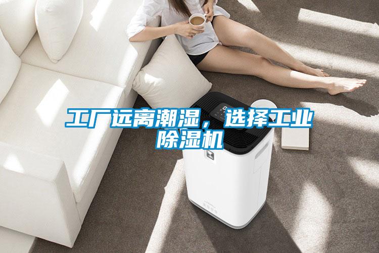 工厂远离潮湿，选择工业草莓视频APP在线观看