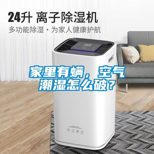 家里有螨，空气潮湿怎么破？