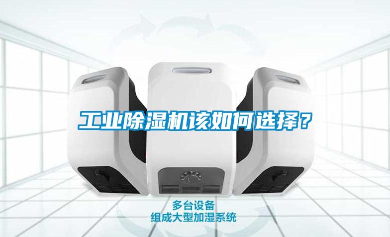 工业草莓视频APP在线观看该如何选择？