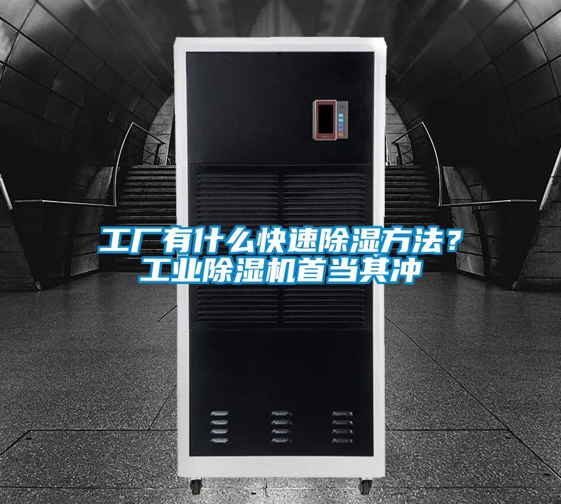 工厂有什么快速除湿方法？工业草莓视频APP在线观看首当其冲