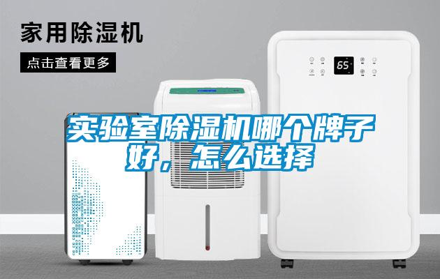 实验室草莓视频APP在线观看哪个牌子好，怎么选择