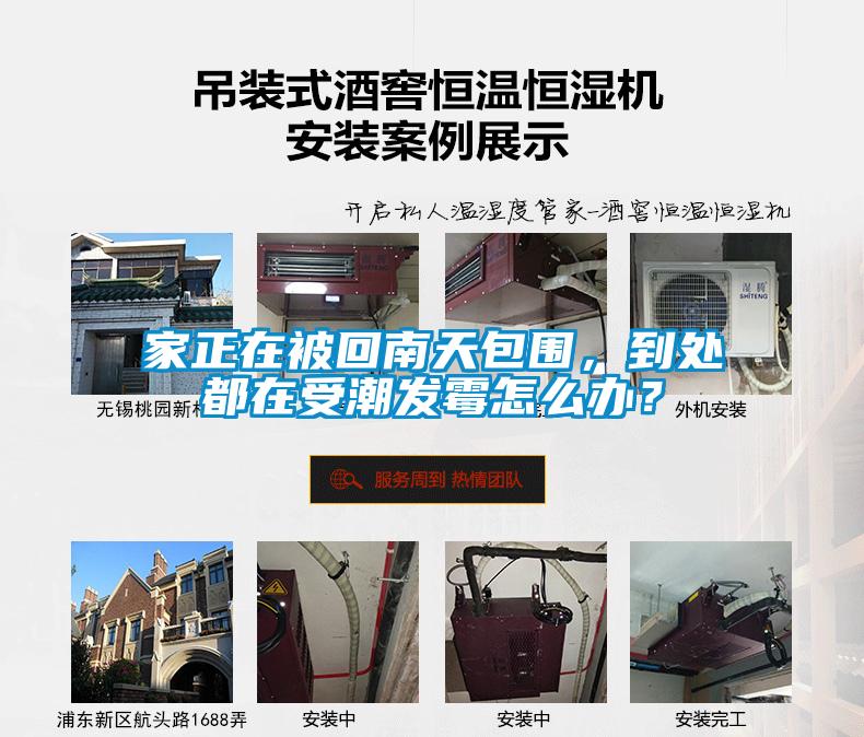 家正在被回南天包围，到处都在受潮发霉怎么办？