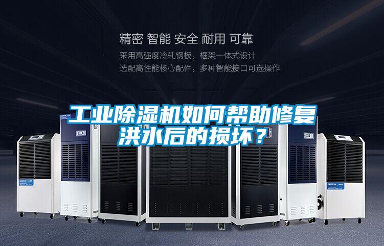 工业草莓视频APP在线观看如何帮助修复洪水后的损坏？