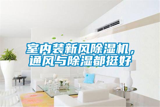 室内装新风草莓视频APP在线观看，通风与除湿都挺好