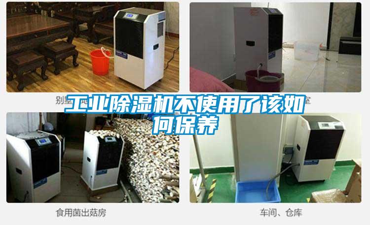 工业草莓视频APP在线观看不使用了该如何保养