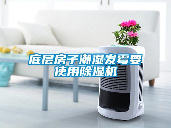 底层房子潮湿发霉要使用草莓视频APP在线观看