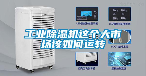 工业草莓视频APP在线观看这个大市场该如何运转