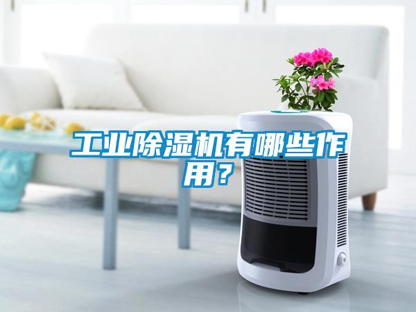 工业草莓视频APP在线观看有哪些作用？