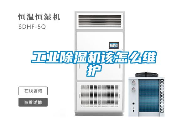 工业草莓视频APP在线观看该怎么维护
