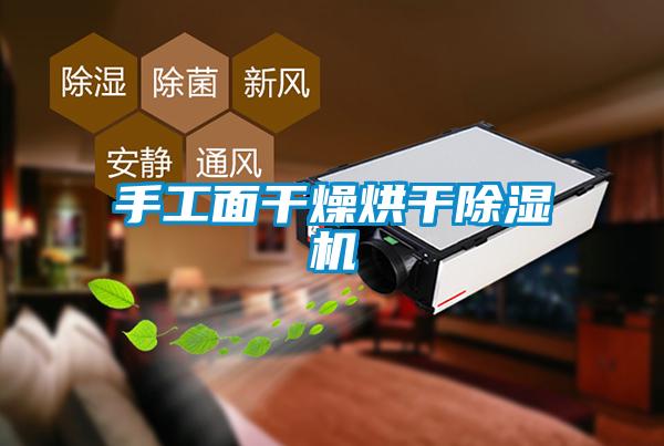 手工面干燥烘干草莓视频APP在线观看