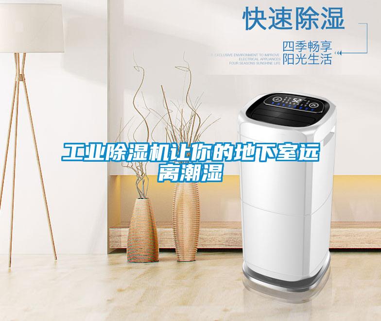 工业草莓视频APP在线观看让你的地下室远离潮湿