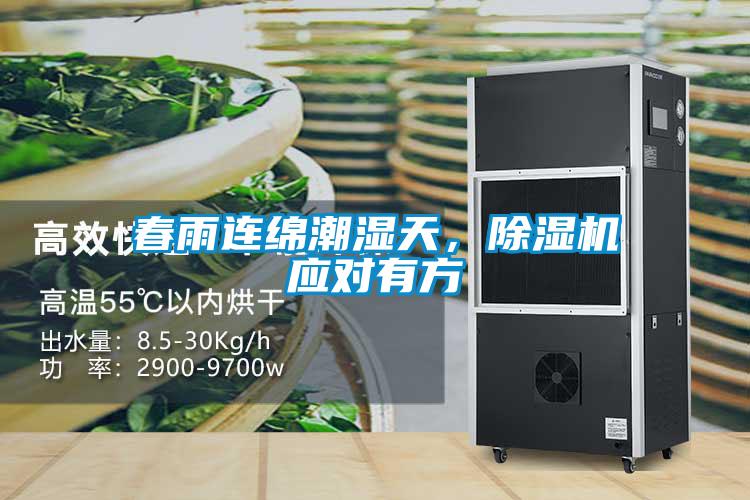 春雨连绵潮湿天，草莓视频APP在线观看应对有方