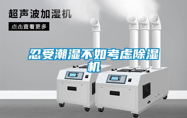 忍受潮湿不如考虑草莓视频APP在线观看