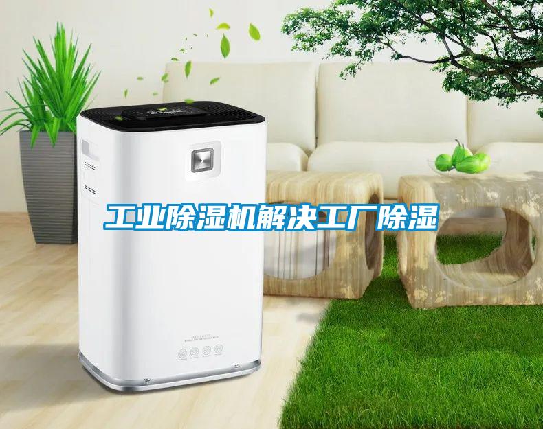 工业草莓视频APP在线观看解决工厂除湿