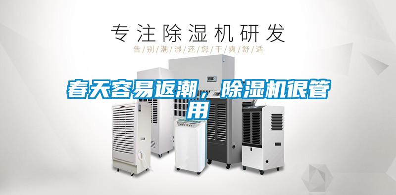 春天容易返潮，草莓视频APP在线观看很管用