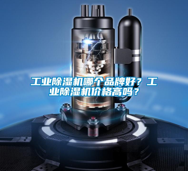 工业草莓视频APP在线观看哪个品牌好？工业草莓视频APP在线观看价格高吗？