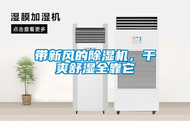 带新风的草莓视频APP在线观看，干爽舒湿全靠它