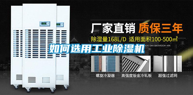 如何选用工业草莓视频APP在线观看