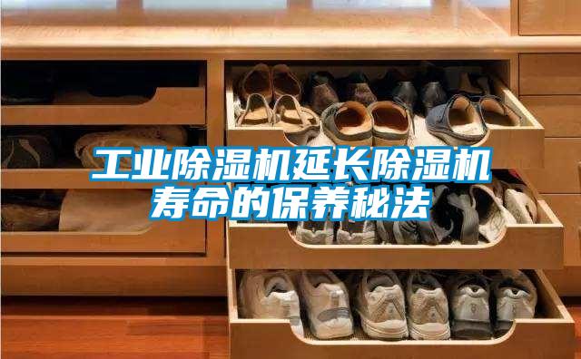 工业草莓视频APP在线观看延长草莓视频APP在线观看寿命的保养秘法