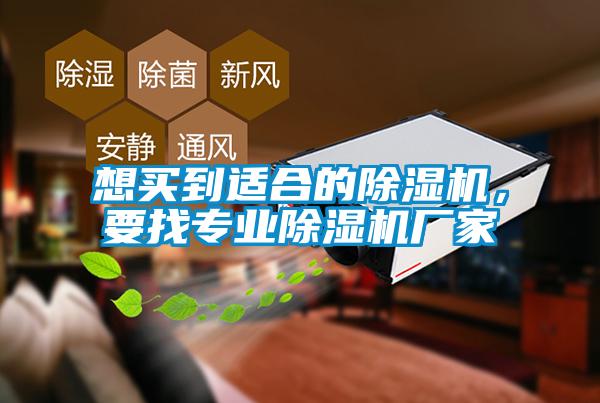 想买到适合的草莓视频APP在线观看，要找专业草莓视频APP在线观看厂家