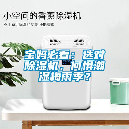 宝妈必看：选对草莓视频APP在线观看，何惧潮湿梅雨季？