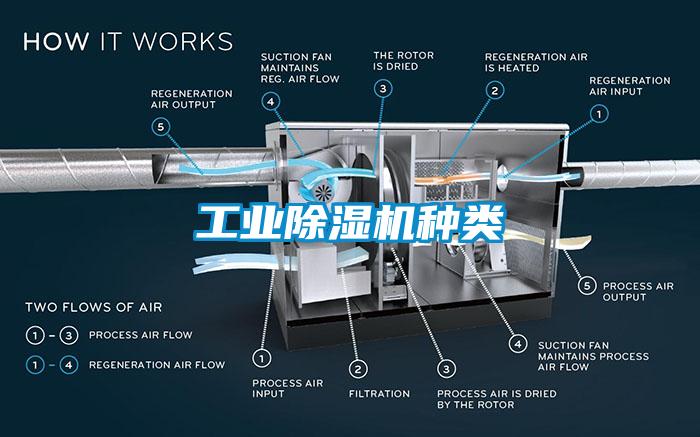 工业草莓视频APP在线观看种类