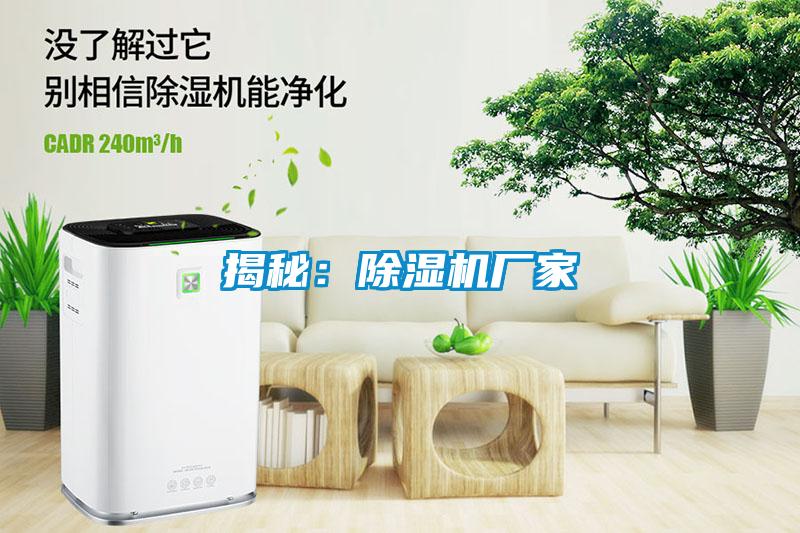 揭秘：草莓视频APP在线观看厂家