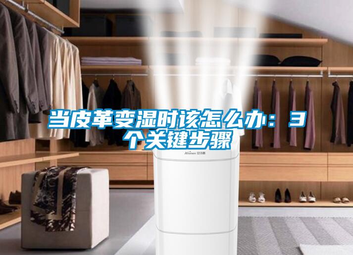 当皮革变湿时该怎么办：3个关键步骤