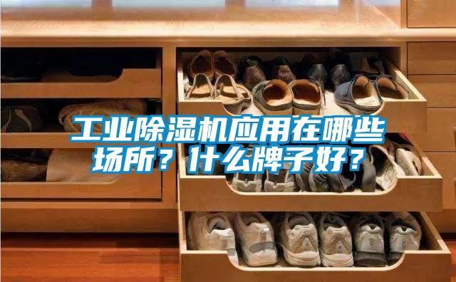 工业草莓视频APP在线观看应用在哪些场所？什么牌子好？
