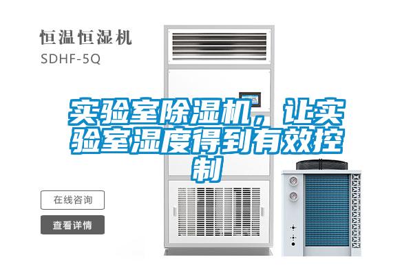 实验室草莓视频APP在线观看，让实验室湿度得到有效控制