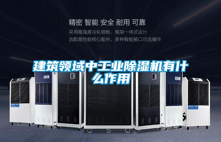 建筑领域中工业草莓视频APP在线观看有什么作用