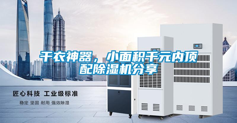 干衣神器，小面积千元内顶配草莓视频APP在线观看分享