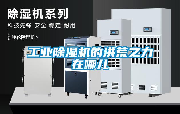 工业草莓视频APP在线观看的洪荒之力在哪儿
