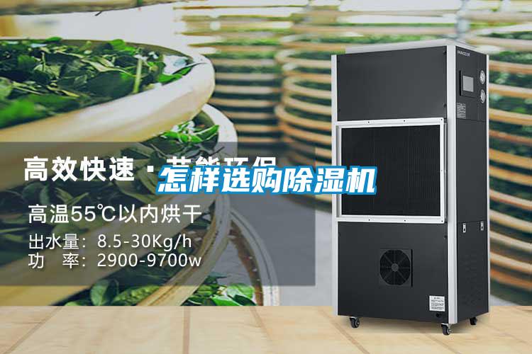 怎样选购草莓视频APP在线观看