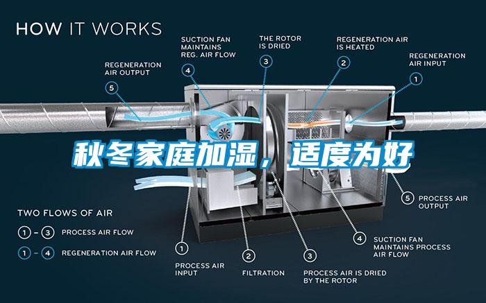 秋冬家庭加湿，适度为好