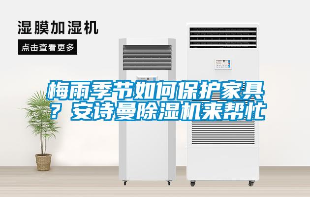 梅雨季节如何保护家具？草莓视频污污版草莓视频APP在线观看来帮忙
