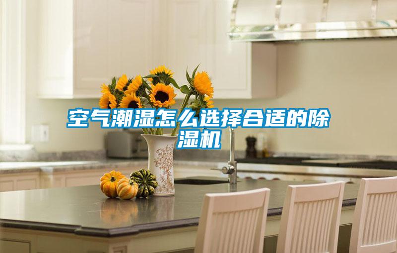 空气潮湿怎么选择合适的草莓视频APP在线观看