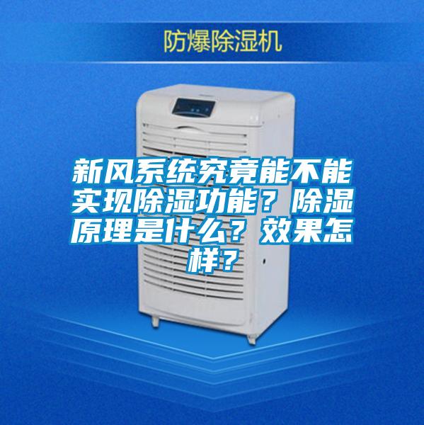 新风系统究竟能不能实现除湿功能？除湿原理是什么？效果怎样？