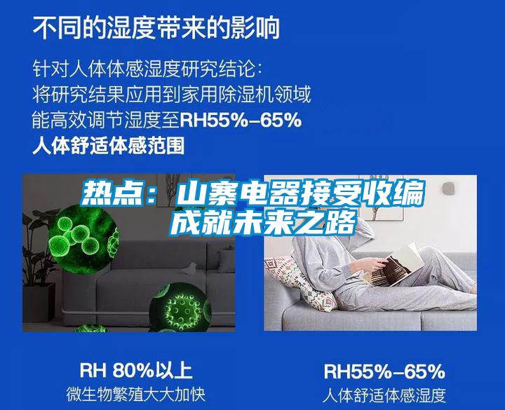 热点：山寨电器接受收编 成就未来之路