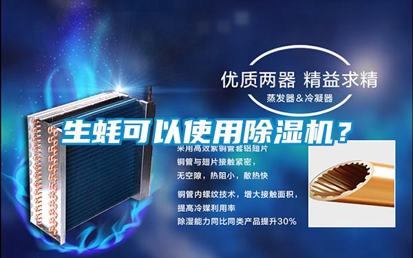生蚝可以使用草莓视频APP在线观看？